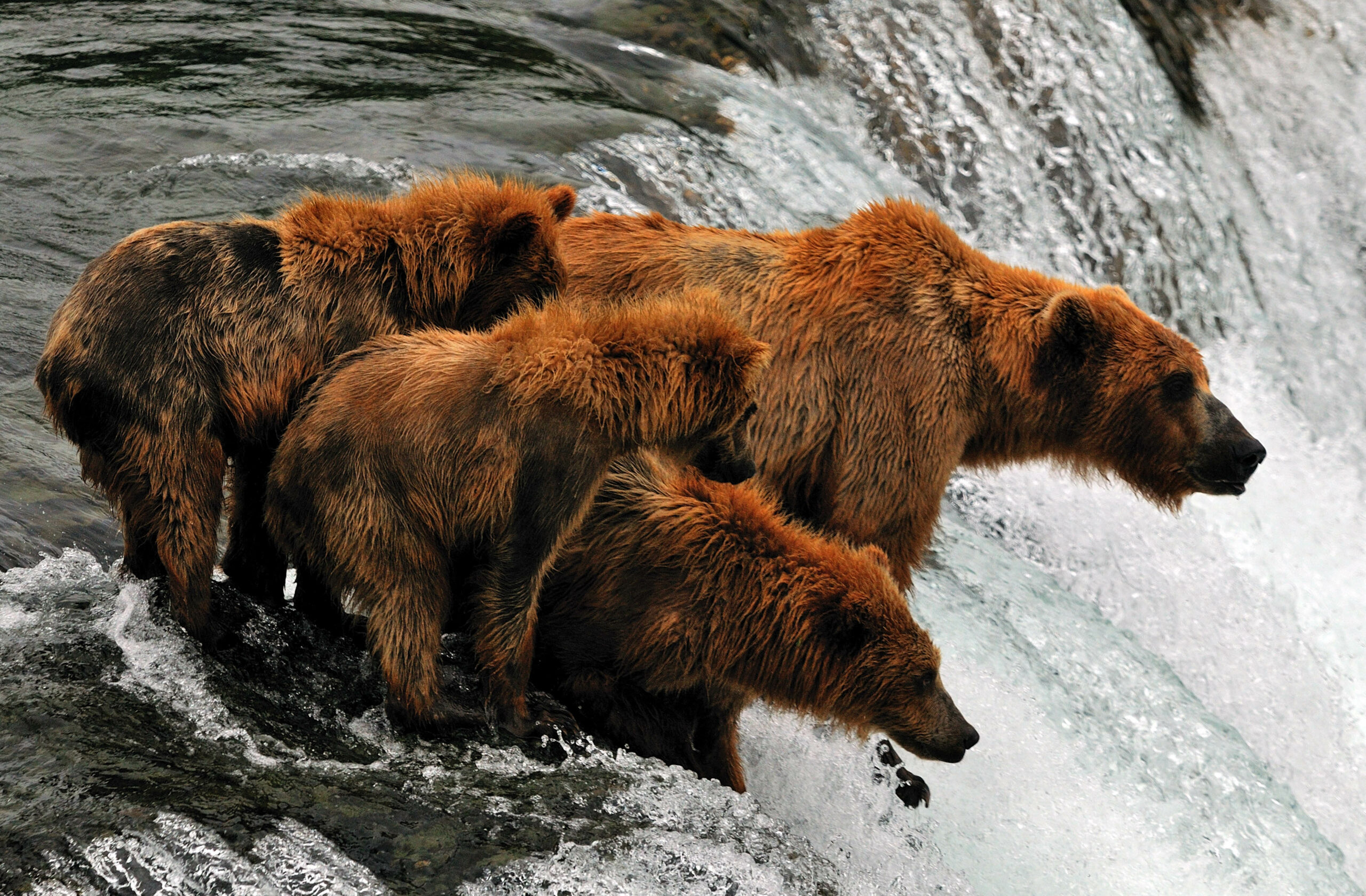Featured image for “Wonder of Alaska by Land | July/August 2024”